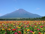 雲上富士山五合目