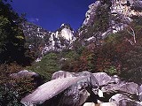 昇仙峽山梨採葡萄