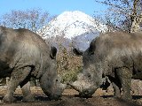 富士野生動物園