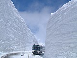 漫步立山雪壁
