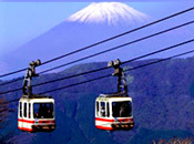 東京自由行適家族</br>搭配中文導遊安排